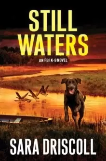 Image of Still Waters : A Riveting Novel of Suspense