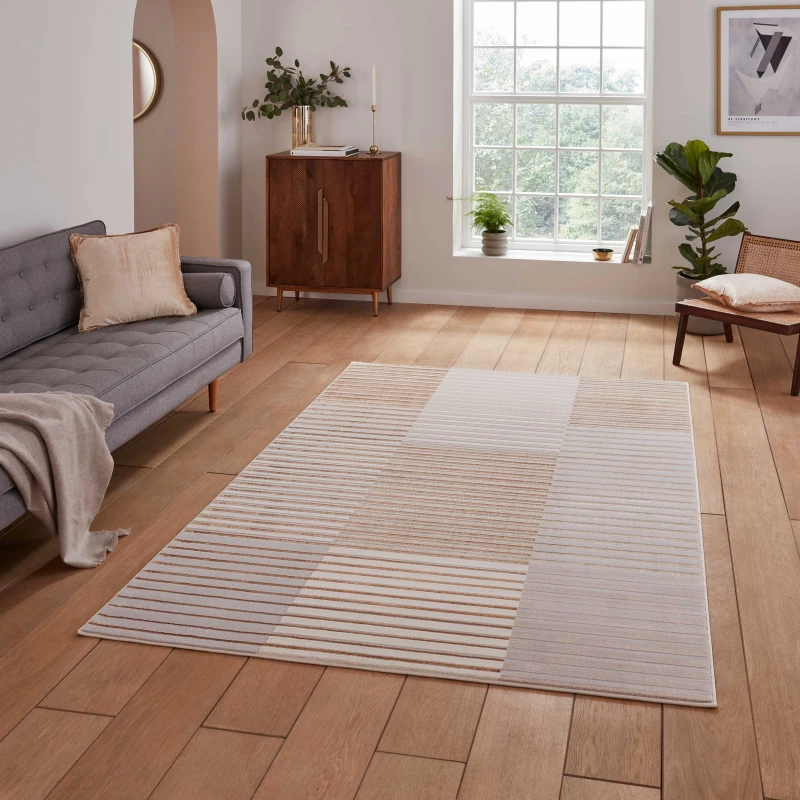 Image of Ombre Striped Patterned Rug