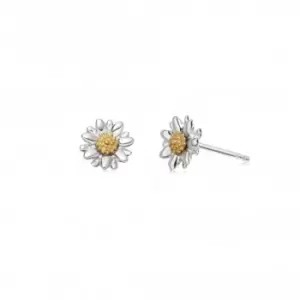 Image of Bellis Daisy Stud 8mm Earrings E2004