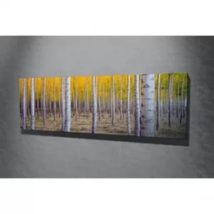 Image of PC025 Multicolor Decorative Canvas Painting