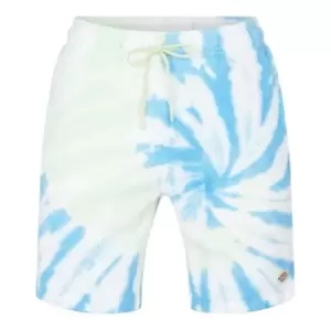 Image of DICKIES Seatac Shorts - Green