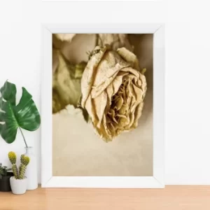 Image of BC970629472 Multicolor Decorative Framed MDF Painting