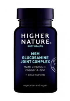 Image of Higher Nature MSM Glucosamine Joint Complex - 90s
