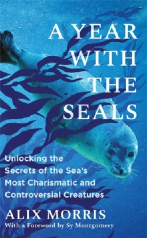 Image of A Year with the Seals : Unlocking the Secrets of the Sea's Most Charismatic and Controversial Creatures Hardback