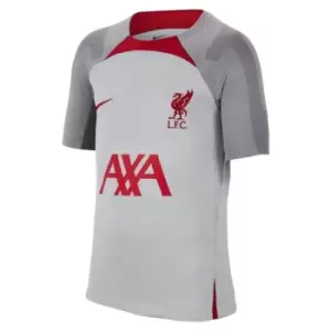 Image of Nike Liverpool Strike Top Juniors - Grey