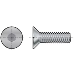 Image of M8X15 Skt Countersunk Head Screw (GR-10.9)