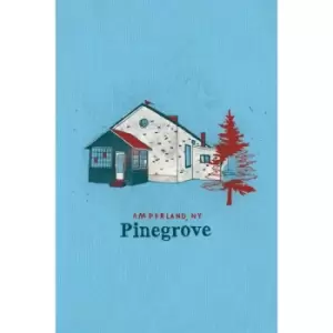 Image of Pinegrove - Amperland, NY Vinyl