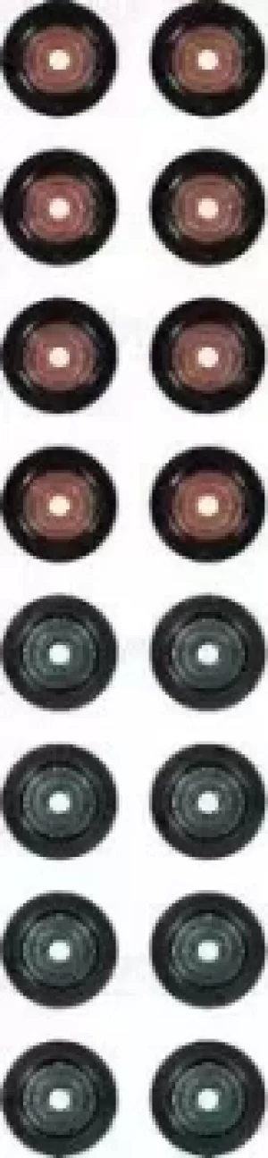 Image of Gasket Set 12-35546-01 by Victor Reinz