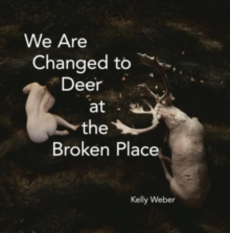 Image of We Are Changed to Deer at the Broken Place Paperback / softback