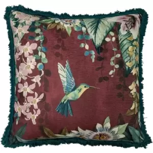 Image of Paoletti Hanging Garden Hummingbird Cushion Cover (One Size) (Aubergine Purple)