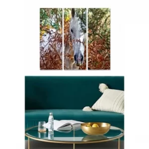 Image of MDFFTR1019 Multicolor Decorative MDF Painting (3 Pieces)