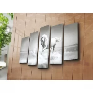 Image of 5PATK-19 Multicolor Decorative Canvas Painting (5 Pieces)