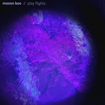 Image of Mason Bee - Play Flights Vinyl