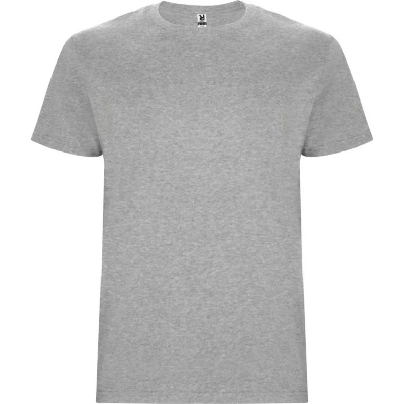 Image of Roly Stafford boys's Children's T shirt in Grey