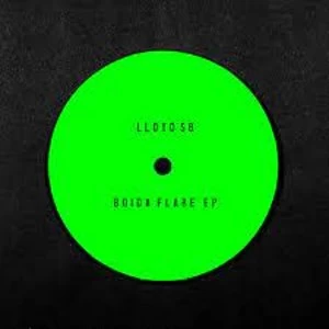 Image of Lloyd SB - Boida Flare Vinyl