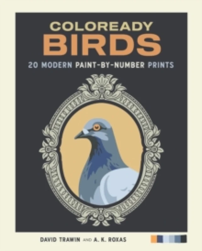 Image of Coloready Birds : 20 Modern Paint-by-Number Prints Paperback / softback