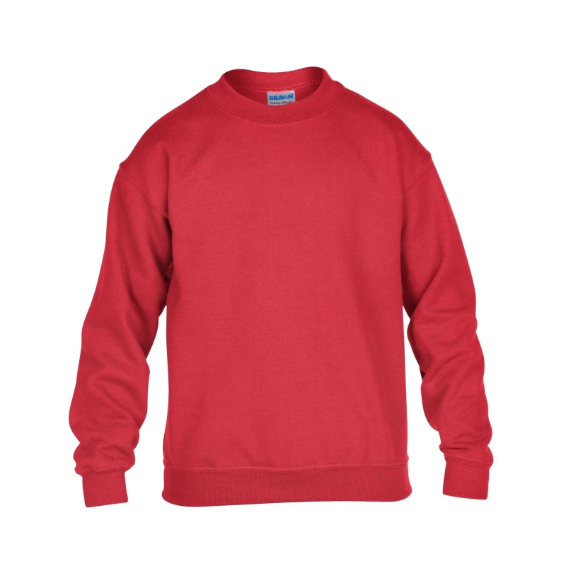 Image of Gildan GD56B boys's Children's sweater in Red