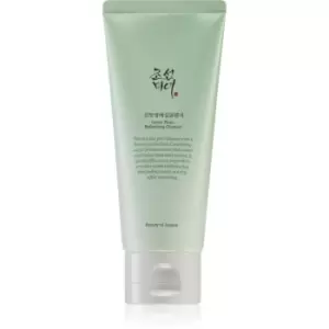 Image of Beauty Of Joseon Green Plum Refreshing Cleanser Gentle Exfoliating Foaming Cream with Moisturizing Effect 100ml