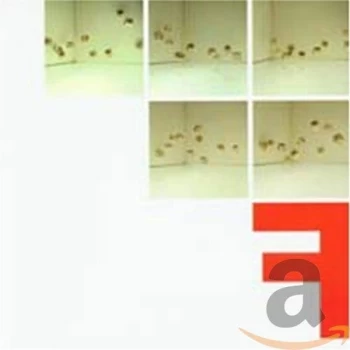 Image of Fontanelle - F CD