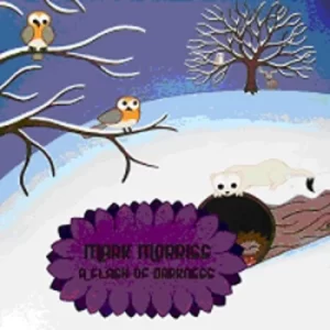 Image of A Flash of Darkness by Mark Morriss Vinyl Album