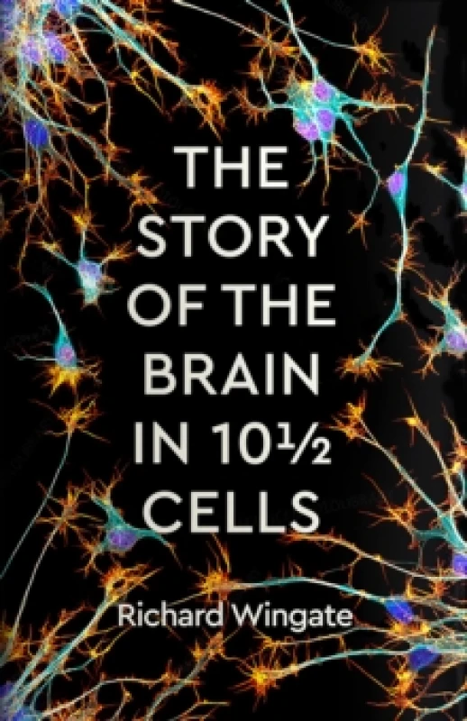 Image of The Story of the Brain in 10 Cells Hardback