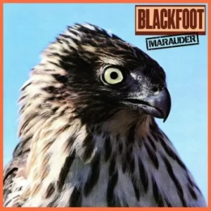 Image of Marauder by Blackfoot Vinyl Album