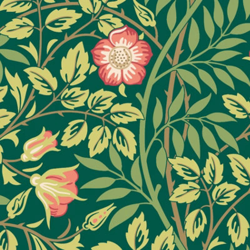 Image of Hoopla Walls Rosehip Trail Forest Green Smooth Matt Wallpaper