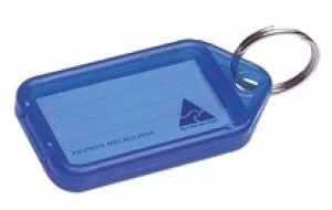 Image of Clicktag Plastic Blue Pk100 Kevron Id5b