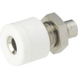 Image of Mini jack socket Socket vertical vertical Pin diameter 2.6mm White