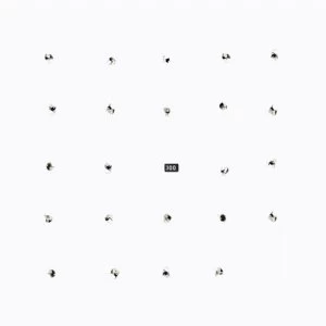 Image of Durian Brothers / Ensemble Skalectrik - Split Series #22 Vinyl