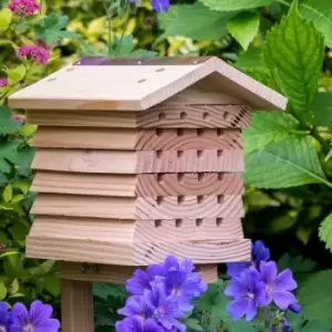 Image of Solitary Bee Hive