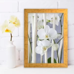 Image of AC288791672 Multicolor Decorative Framed MDF Painting