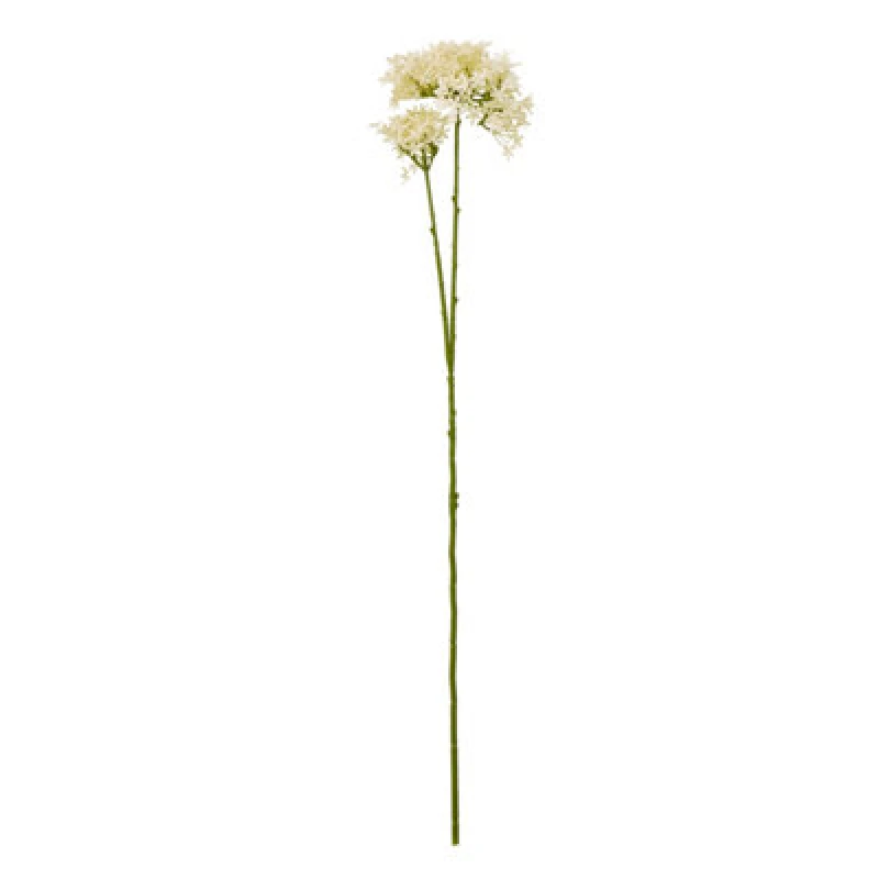 Image of Cream Crown Hydrangea Stem