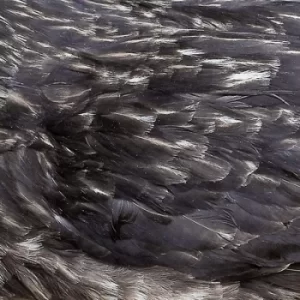 Image of Arstidir by Arstidir CD Album