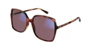 Image of Gucci Sunglasses GG0544S 006