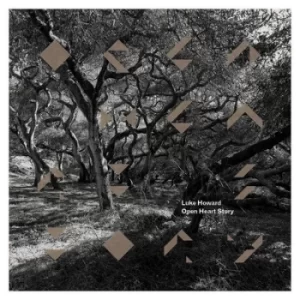 Image of Luke Howard Open Heart Story by Luke Howard Vinyl Album