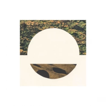 Image of Robin Richards - Castel Vinyl