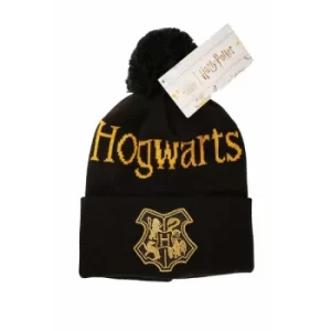 Image of Hogwarts Black And Gold Harry Potter Beanie One Size