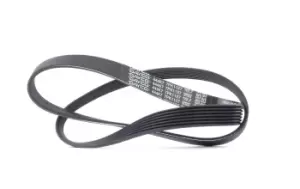 Image of DAYCO V-ribbed belt 7PK1127 Serpentine belt,Auxiliary belt RENAULT,NISSAN,MEGANE III Grandtour (KZ0/1),SCENIC II (JM0/1_),Scenic III (JZ0/1_)