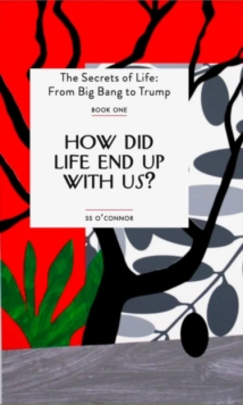 Image of How Did Life End Up With Us? Paperback / softback