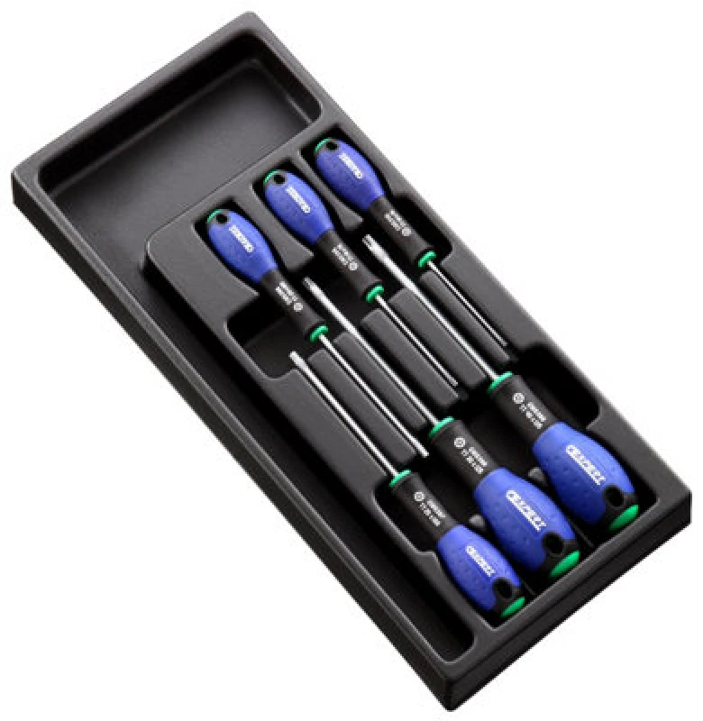 Image of Facom Expert by Facom E194941B - 6 Piece ResisTorx Screwdriver Module
