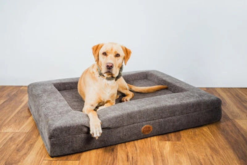 Image of Snug & Cosy Pets Snug And Cosy Orthopaedic Lounger Chocolate 155Cm X 90Cm X 19Cm