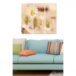 Image of MDF2313971 Multicolor Decorative MDF Painting (3 Pieces)