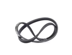 Image of Bosch V-ribbed belt RENAULT,FIAT,HONDA 1 987 947 844 6001543512,71719399,7753473 31110PG6003,31110PG6004,31110PG6B00,31110PG6B003,31110PG7661,7753473