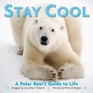 Image of stay cool a polar bears guide to life