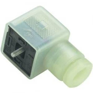 Image of Binder 43 1714 135 03 Transparent