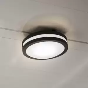 Image of Lutec Titan LED Wall/Ceiling Light - Dark Grey
