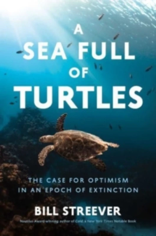 Image of A Sea Full of Turtles : The Search for Optimism in an Epoch of Extinction Hardback