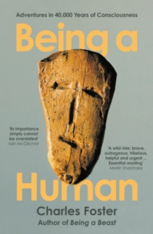 Image of Being a Human : Adventures in 40,000 Years of Consciousness Paperback / softback