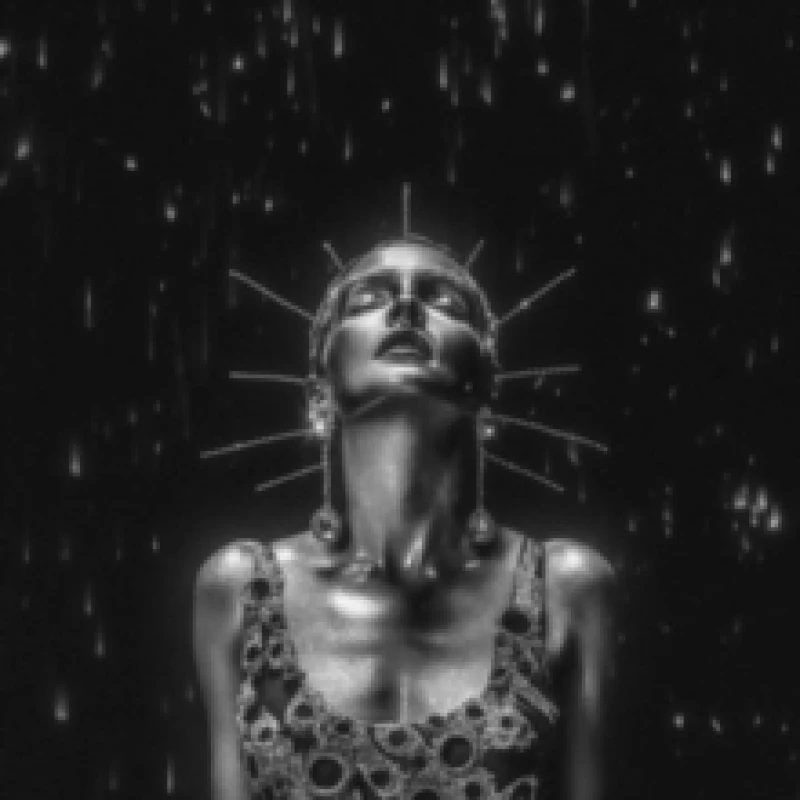 Image of Vicious Creature Vinyl